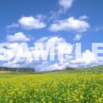 sample_hsize