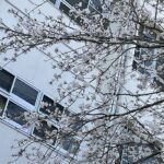 IMG_2100