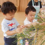 DSCN3641