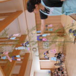 DSCN3659